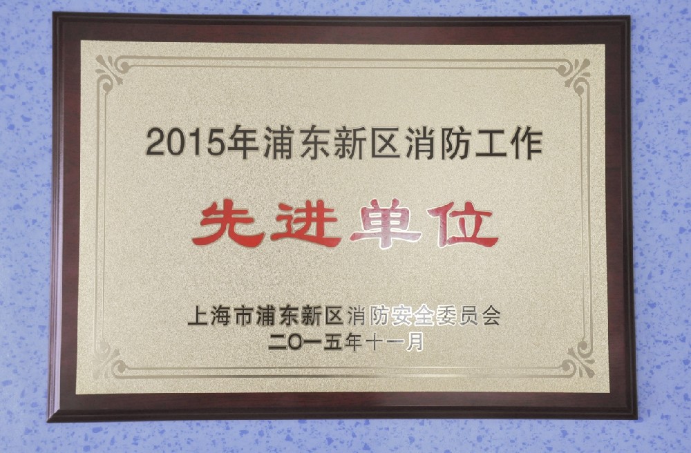 2015年获浦东新区消防工作先进单位