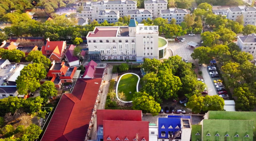 1762134765132236.png 1762134765132236.png