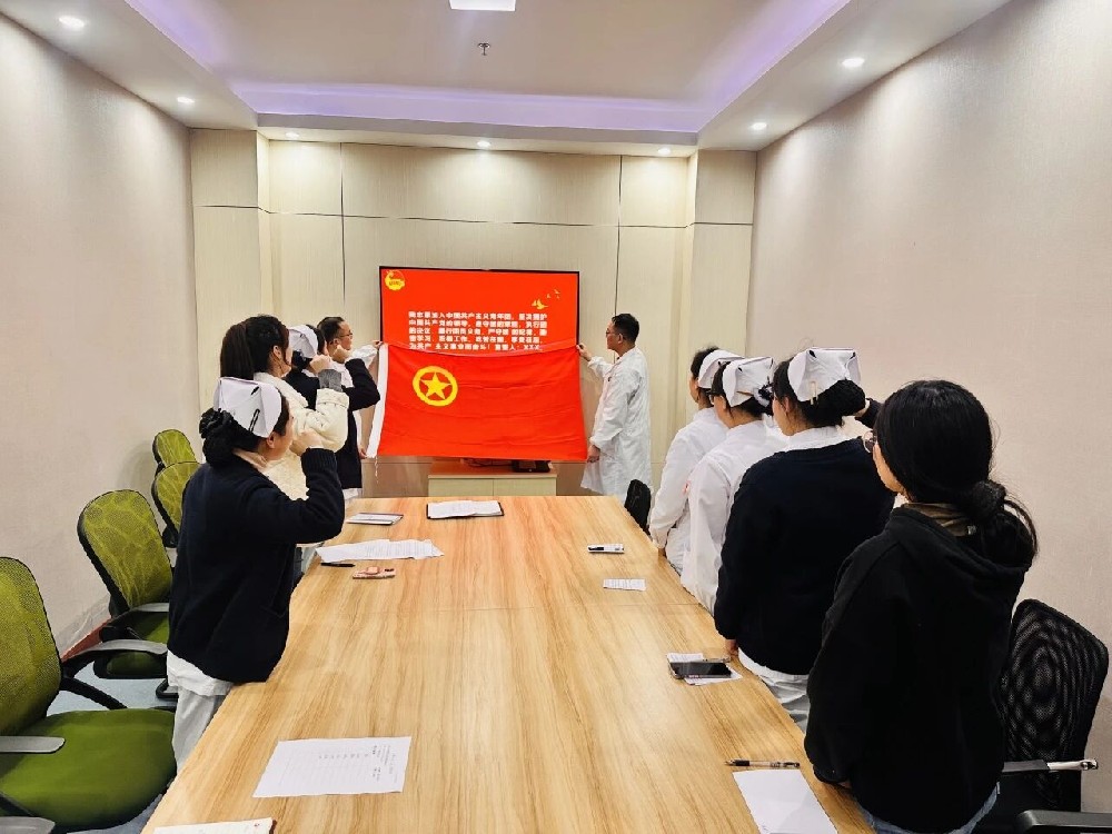 党建引领｜医院团总支召开2024年度基层团组织组织生活会和团员教育评议工作