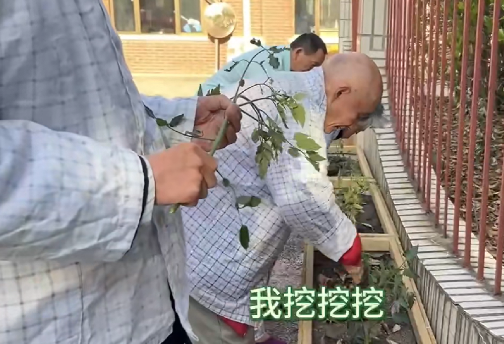 东海医疗 | 勿忘我驿站里，当中医遇见园艺，给认知症大脑开一剂“自然处方”