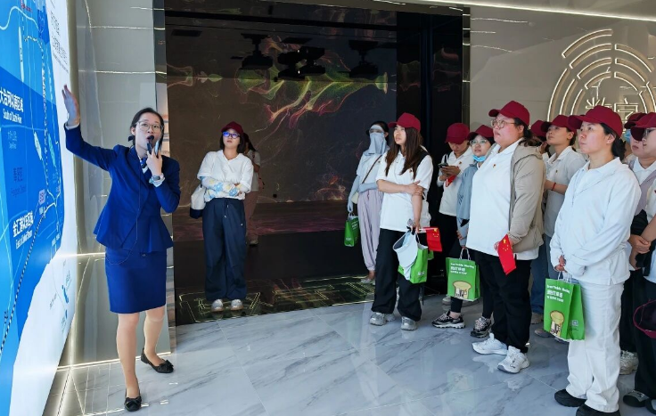 1763024249480454.png image.png