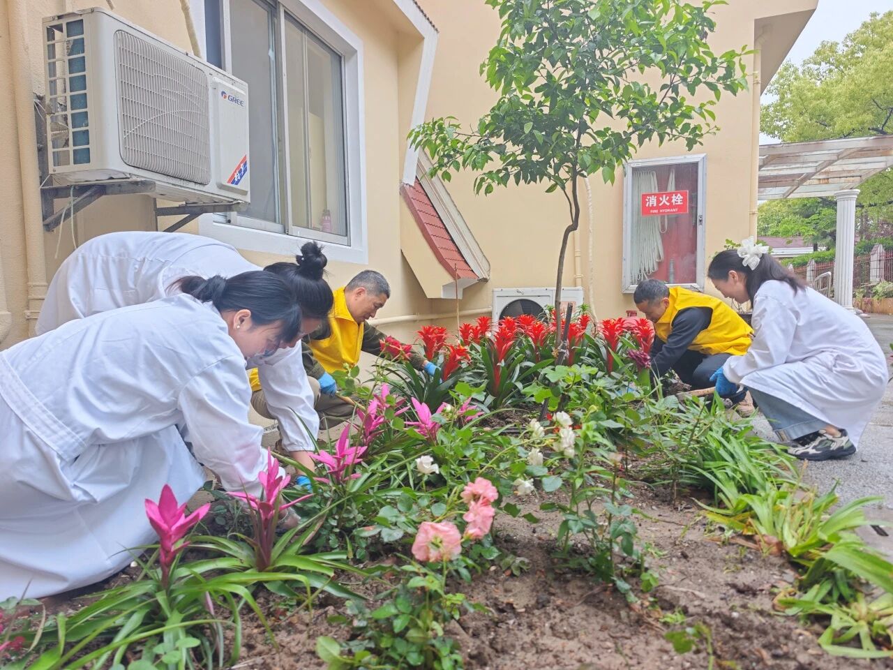 1763168009379813.jpg 21ea01e38af0a0d526bd001c57f1db60.jpg