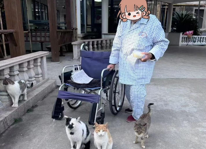 1763282295214402.png image.png