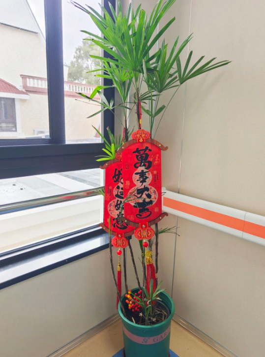 1772349347164242.png image.png